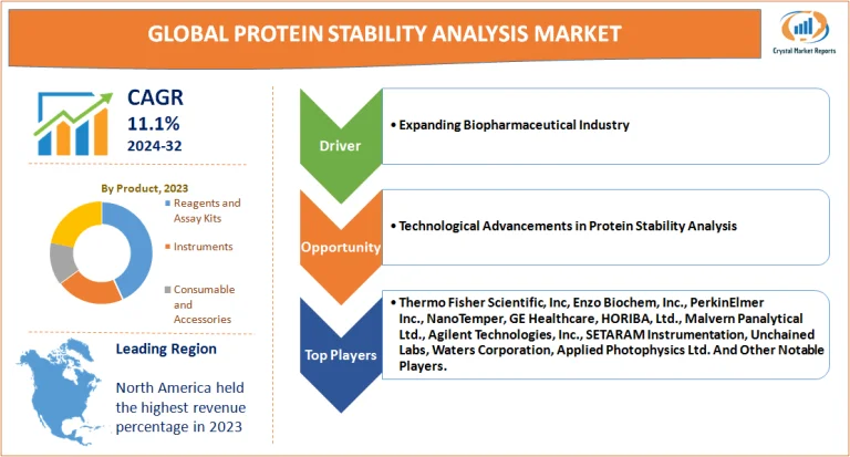 Protein Stability Analysis Market